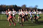 Junior Womens 2025 Northern Cross Country Champs, Tatton Park, Knutsford, Cheshire. Photo: David T. Hewitson/Sports for All Pics